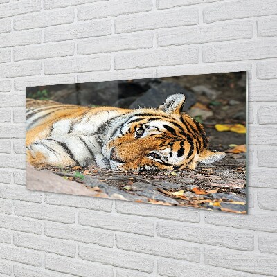 Quadro de vidro Tigre mentiroso