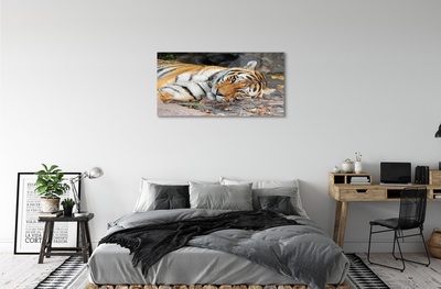 Quadro de vidro Tigre mentiroso
