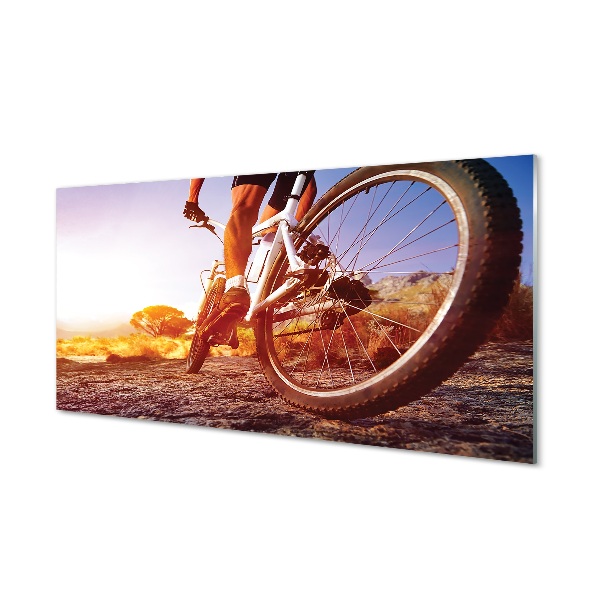 Quadro de vidro Estrada de mountain bike oeste