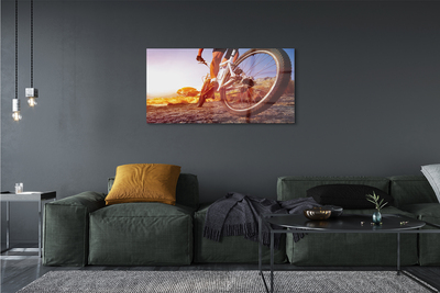 Quadro de vidro Estrada de mountain bike oeste