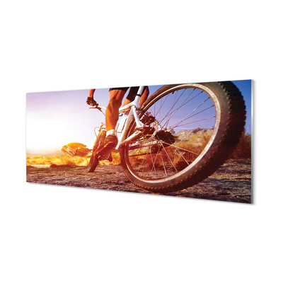 Quadro de vidro Estrada de mountain bike oeste