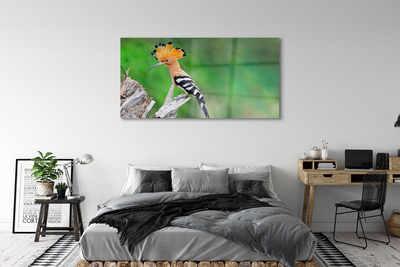 Quadro de vidro Árvore papagaio colorida