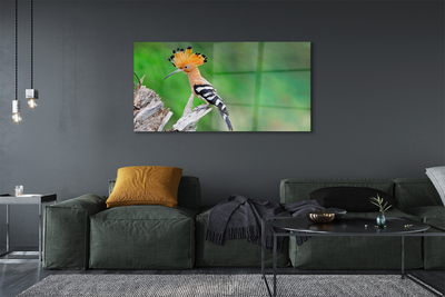 Quadro de vidro Árvore papagaio colorida