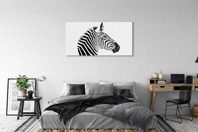 Quadro de vidro Ilustração de zebra