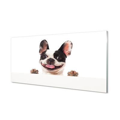 Pintura em vidro Cachorro