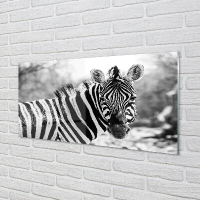 Pintura em vidro Zebra retrô