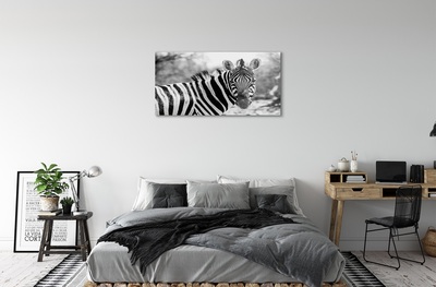 Pintura em vidro Zebra retrô