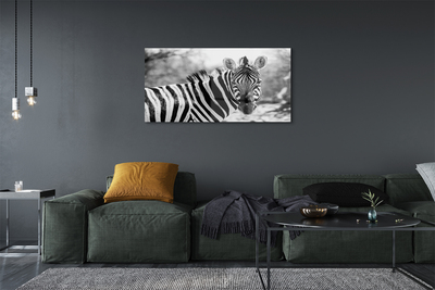 Pintura em vidro Zebra retrô
