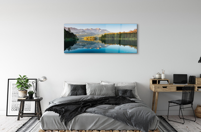 Quadro de vidro Alemanha Montanhas Lago Floresta
