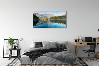 Quadro de vidro Alemanha Montanhas Lago Floresta