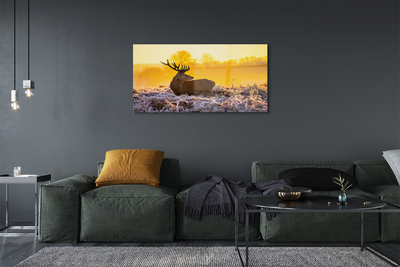 Pintura em vidro Nascer do sol de inverno com veados