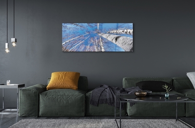 Pintura em vidro Céu de bétula