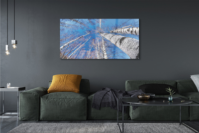 Pintura em vidro Céu de bétula