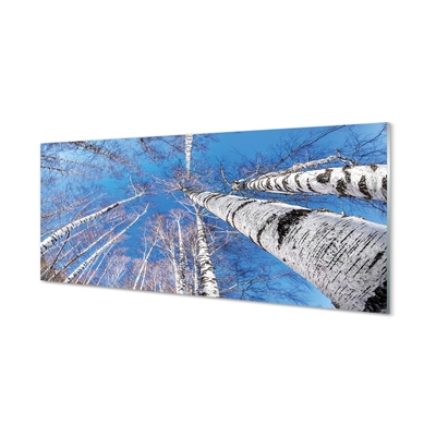 Pintura em vidro Céu de bétula