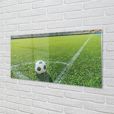 Quadro de vidro Grama de estádio