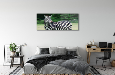 Quadro de vidro Campo de zebras