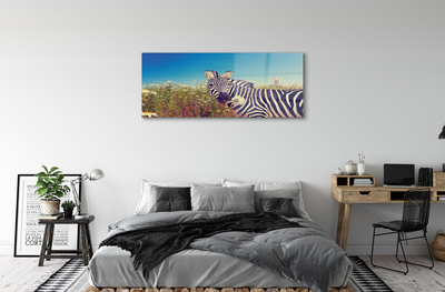 Pintura em vidro Flores de zebra