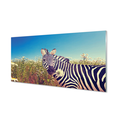 Pintura em vidro Flores de zebra