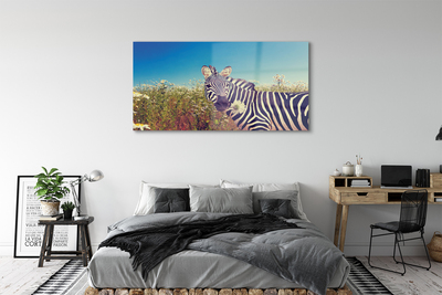 Pintura em vidro Flores de zebra
