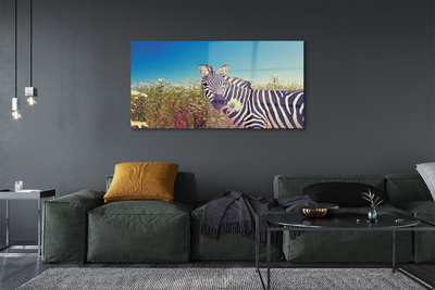 Pintura em vidro Flores de zebra