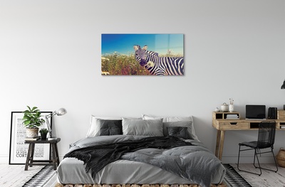 Pintura em vidro Flores de zebra