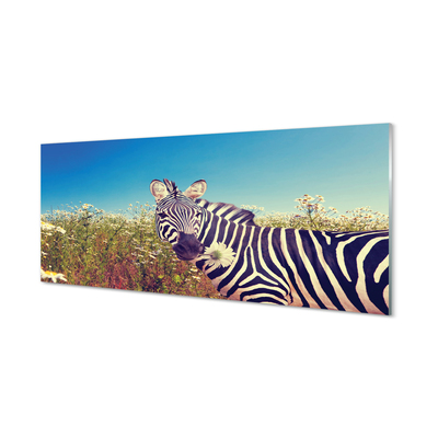 Pintura em vidro Flores de zebra