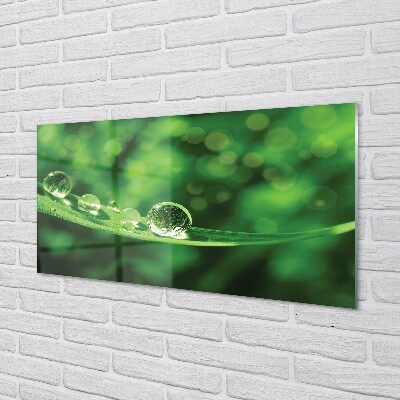 Pintura em vidro Macro gotas de água