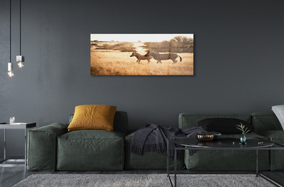 Quadro de vidro Pôr do sol no campo de zebras