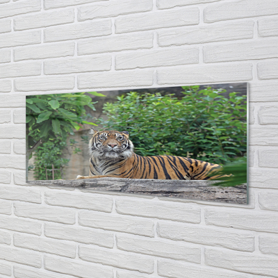 Pintura em vidro Floresta do Tigre