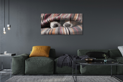 Pintura em vidro Cães dormindo