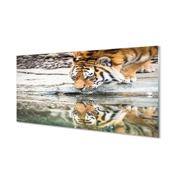 Quadro de vidro Tigre Bebendo