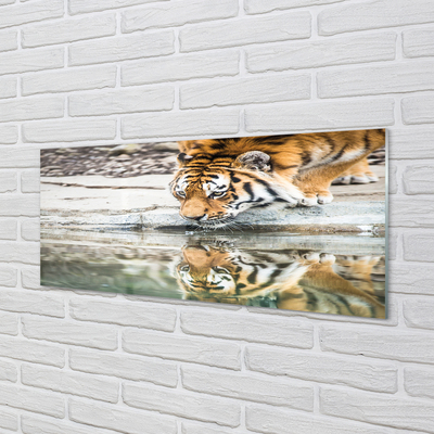Quadro de vidro Tigre Bebendo