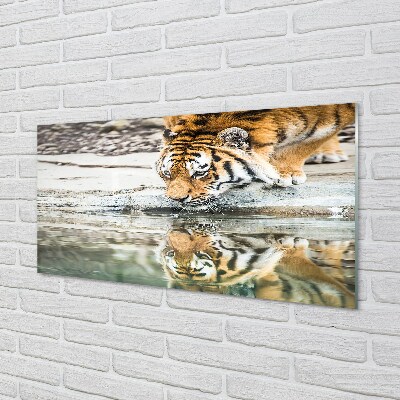 Quadro de vidro Tigre Bebendo