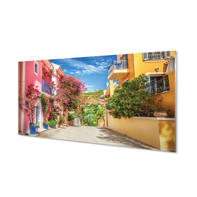 Quadro de vidro Grécia Flores edifícios montanha