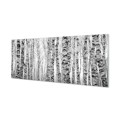Quadro de vidro Bétulas pretas e brancas