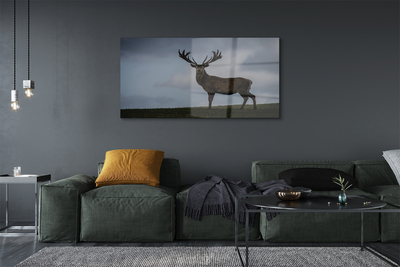 Pintura em vidro Noite dos Veados