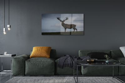 Pintura em vidro Noite dos Veados