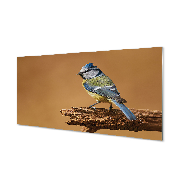 Pintura em vidro Pássaro