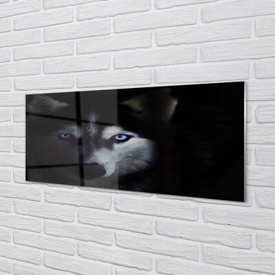 Quadro de vidro Olhos de lobo