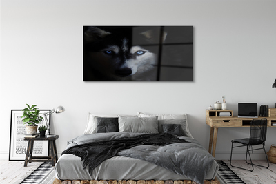 Quadro de vidro Olhos de lobo