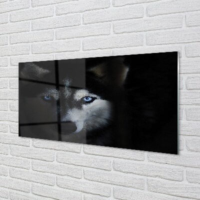 Quadro de vidro Olhos de lobo