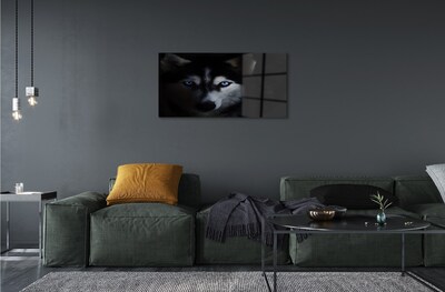 Quadro de vidro Olhos de lobo