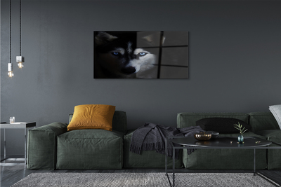 Quadro de vidro Olhos de lobo