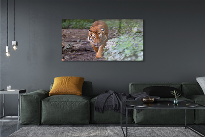 Pintura em vidro Floresta do Tigre