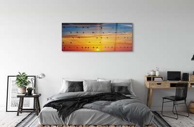 Quadro de vidro Pássaros em cordas ao pôr do sol