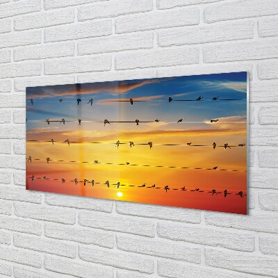 Quadro de vidro Pássaros em cordas ao pôr do sol