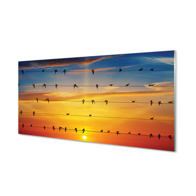 Quadro de vidro Pássaros em cordas ao pôr do sol