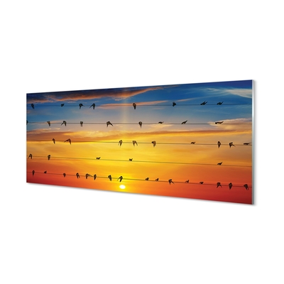 Quadro de vidro Pássaros em cordas ao pôr do sol