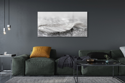 Quadro de vidro Macro de gotas de penas