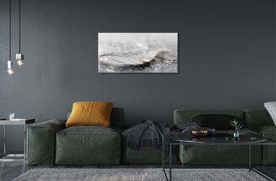 Quadro de vidro Macro de gotas de penas